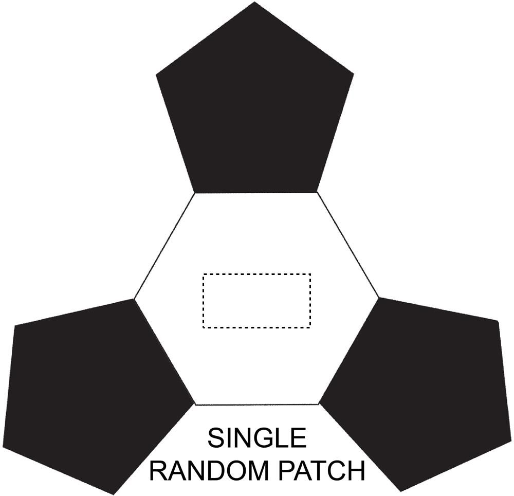 Veredelungsposition SINGLE RANDOM PATCH