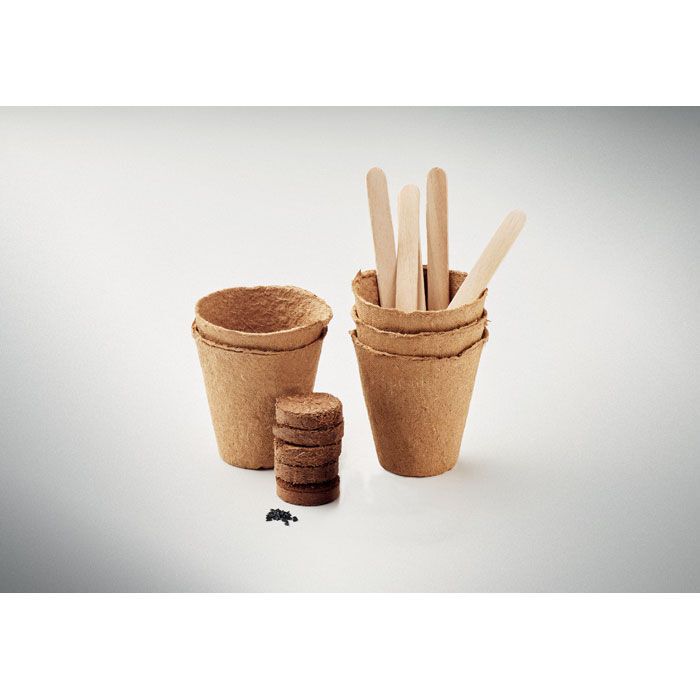Saat-Set Sommerblumen FLOWERS - beige-780