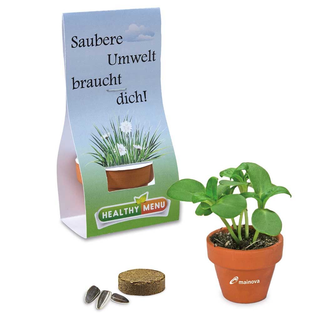 Logo-Töpfchen Überreichverpackung mit Samen - Basilikum-977